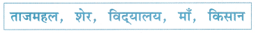 Class 1 Hindi Grammar Worksheet with Answers 4