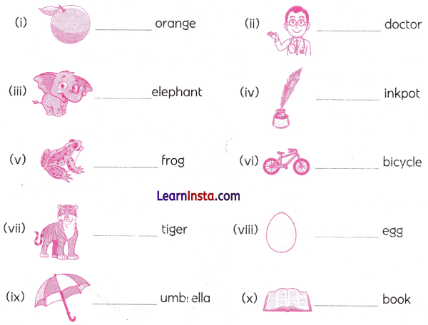 Class 2 English Grammar Worksheet with Answers 10