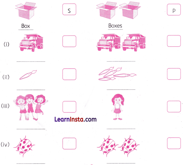 Class 2 English Grammar Worksheet with Answers 3