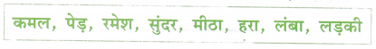 Class 2 Hindi Grammar Worksheet with Answers 10