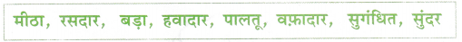 Class 2 Hindi Grammar Worksheet with Answers 13