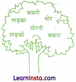 Class 2 Hindi Grammar Worksheet with Answers 14