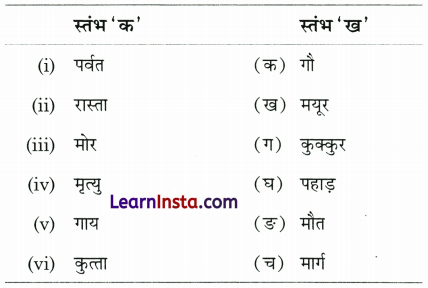 Class 2 Hindi Grammar Worksheet with Answers 25