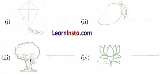 Class 2 Hindi Grammar Worksheet with Answers 4