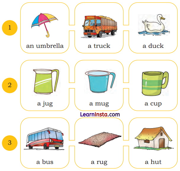 Come Back Soon Class 2 Question Answer English Chapter 5 7