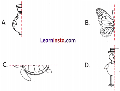 Fair Share Class 3 Worksheet Maths Mela Chapter 8 6