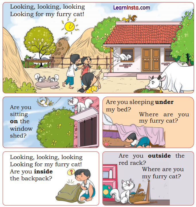 Finding the Furry Cat Class 1 Question Answer Solutions Maths Chapter 1 1