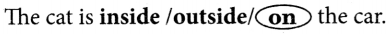 Finding the Furry Cat Class 1 Question Answer Solutions Maths Chapter 1 4