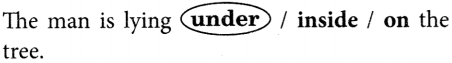 Finding the Furry Cat Class 1 Question Answer Solutions Maths Chapter 1 5