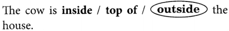 Finding the Furry Cat Class 1 Question Answer Solutions Maths Chapter 1 6