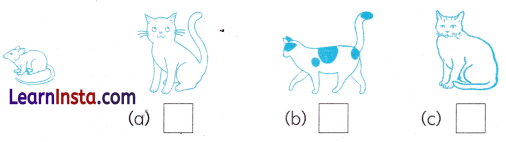 Finding the Furry Cat Class 1 Worksheet with Answers Maths Chapter 1 11