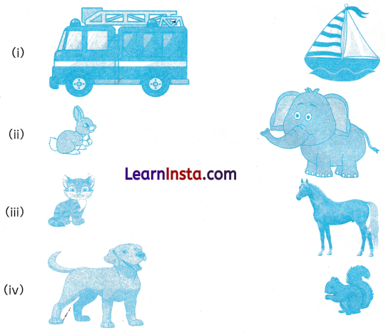 Finding the Furry Cat Class 1 Worksheet with Answers Maths Chapter 1 2