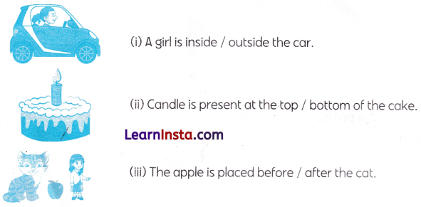 Finding the Furry Cat Class 1 Worksheet with Answers Maths Chapter 1 23