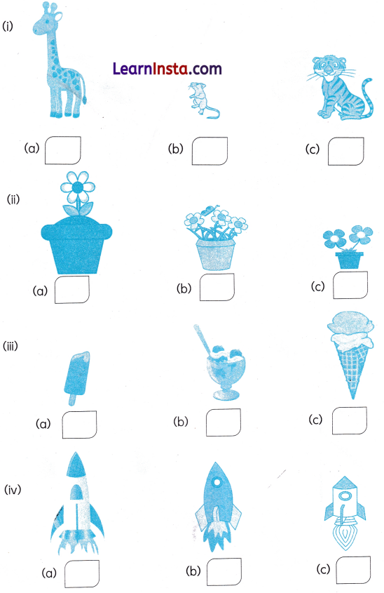 Finding the Furry Cat Class 1 Worksheet with Answers Maths Chapter 1 3
