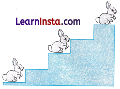 Finding the Furry Cat Class 1 Worksheet with Answers Maths Chapter 1 7