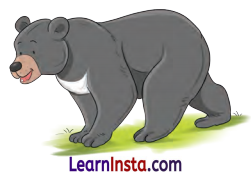 Fuli Roti Class 1 Question Answer Hindi Chapter 12 11