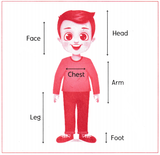 Fun at Class Party! Class 3 Worksheet Maths Mela Chapter 10 30
