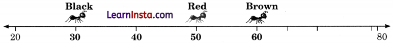 Fun with Numbers Class 2 Maths Solutions Question Answer Chapter 3 5
