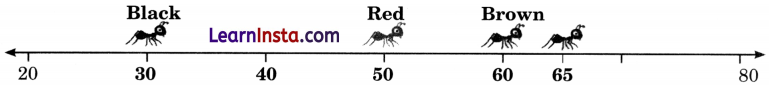 Fun with Numbers Class 2 Maths Solutions Question Answer Chapter 3 6