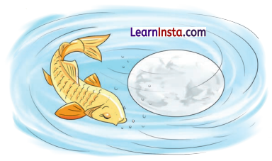 Gire Taal Me Chanda Mama Class 2 Question Answer Hindi Chapter 24 2