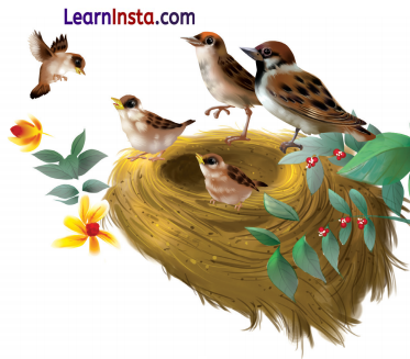 Greetings Class 1 Question Answer English Chapter 2 37