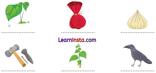 Holi Class 1 Question Answer Hindi Chapter 15 11