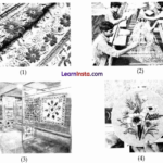 Ila Sachani Embroidering Dreams with Her Feet Class 6 Worksheet 1