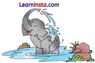It Is Fun Class 2 Question Answer English Chapter 3 3