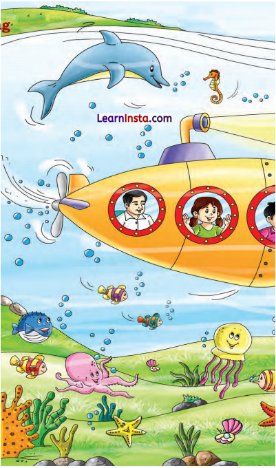 It Is Fun Class 2 Question Answer English Chapter 3 5