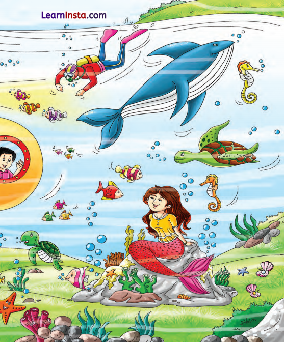 It Is Fun Class 2 Question Answer English Chapter 3 6