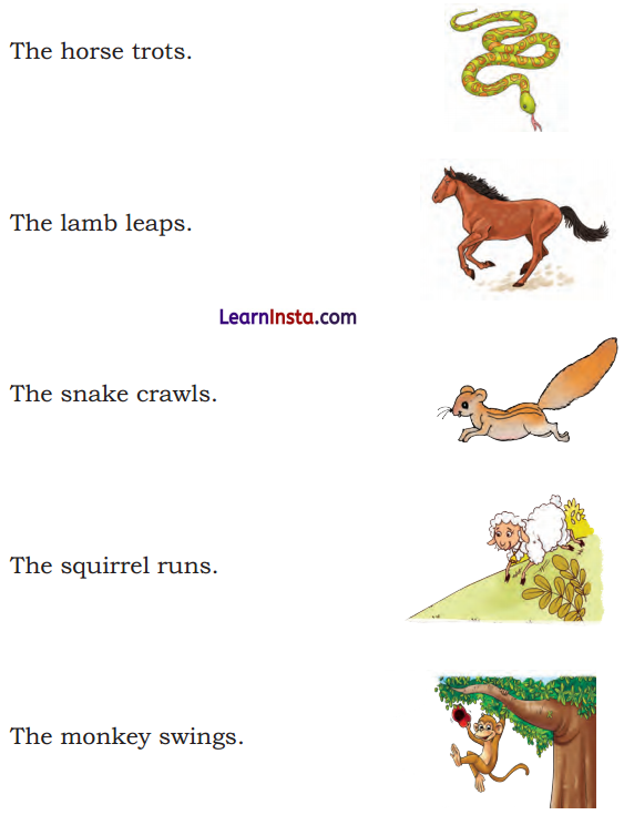 It Is Fun Class 2 Question Answer English Chapter 3 7