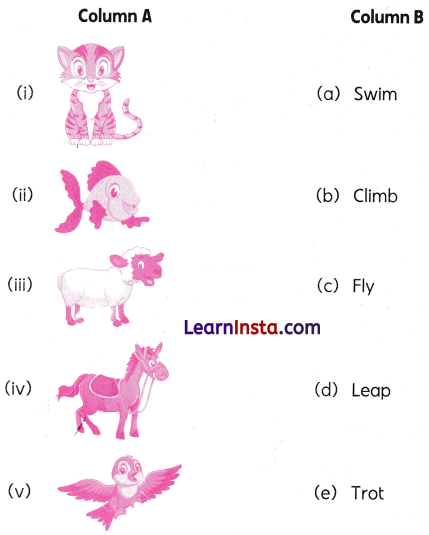 It Is Fun Class 2 Worksheet with Answers English Chapter 3 4