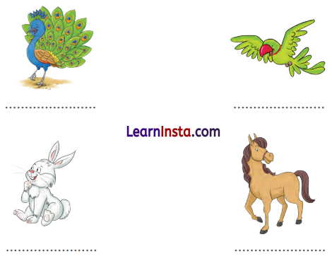 Kitni Pyari Hai Ye Duniya Class 1 Question Answer Hindi Chapter 18 6