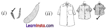 Lina’s Family Class 1 Question Answer Solutions Maths Chapter 7 12