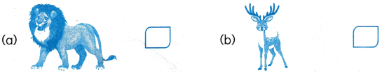 Lina’s Family Class 1 Worksheet with Answers Maths Chapter 7 41