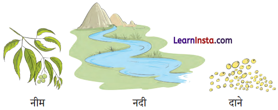 Meena Ka Parivar Class 1 Question Answer Hindi Chapter 1 7