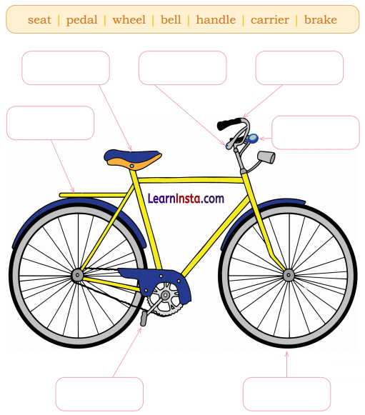 My Bicycle Class 2 Question Answer English Chapter 1 4