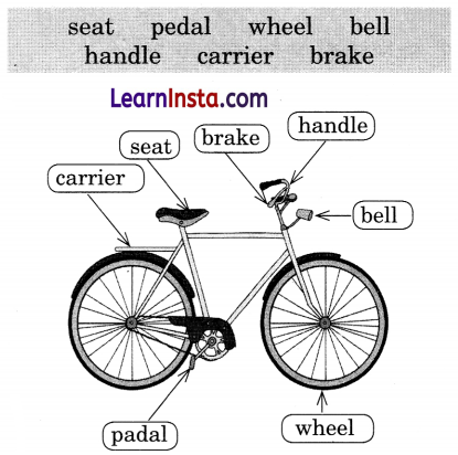 My Bicycle Class 2 Question Answer English Chapter 1 5