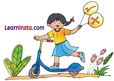 My Bicycle Class 2 Question Answer English Chapter 1 8