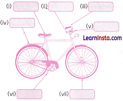 My Bicycle Class 2 Worksheet with Answers English Chapter 1 10