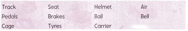 My Bicycle Class 2 Worksheet with Answers English Chapter 1 3