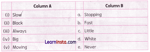 My Bicycle Class 2 Worksheet with Answers English Chapter 1 9