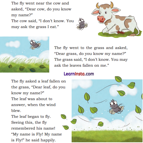 My Name Class 2 Question Answer English Chapter 9 2