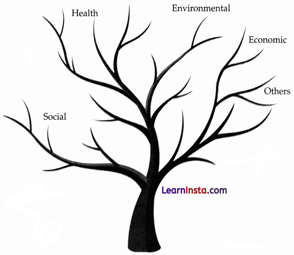 Neem Baba Class 6 Worksheet 1