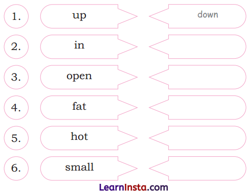 Picture Reading Class 2 Question Answer English Chapter 2 5