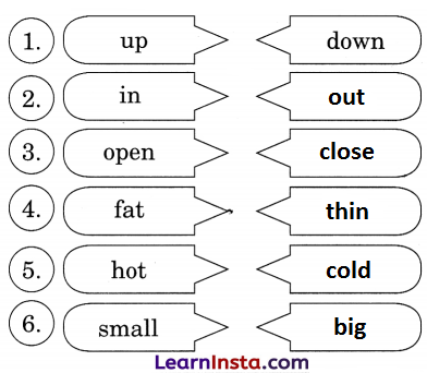 Picture Reading Class 2 Question Answer English Chapter 2 6