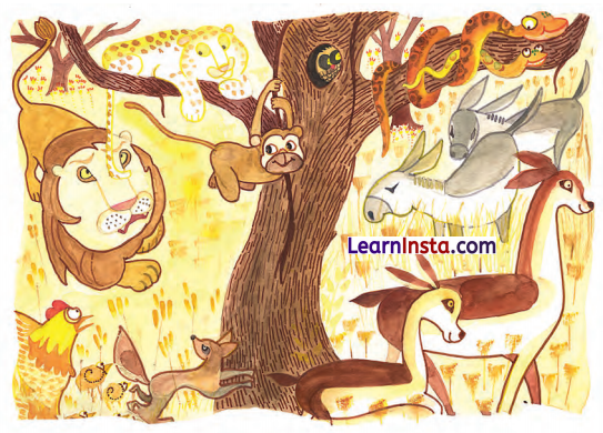 Picture Time Class 1 Question Answer English Chapter 3 1