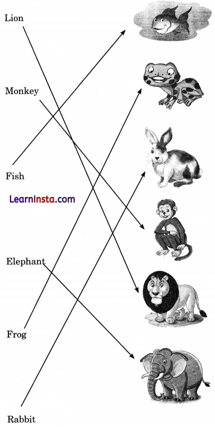 Picture Time Class 1 Question Answer English Chapter 3 10