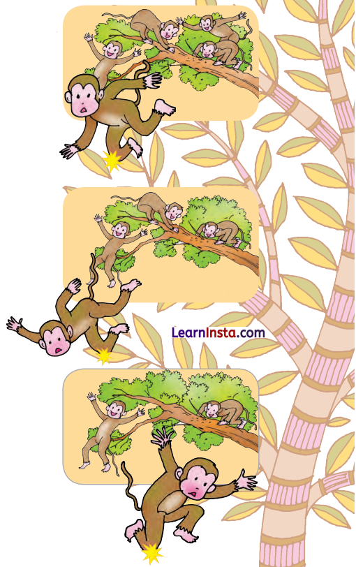 Picture Time Class 1 Question Answer English Chapter 3 4