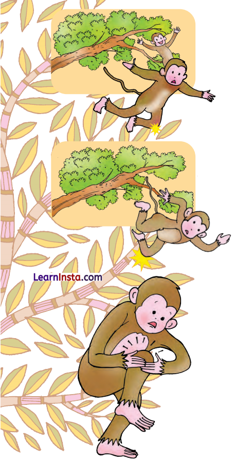 Picture Time Class 1 Question Answer English Chapter 3 5